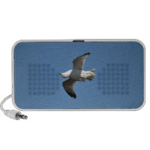 Gull Flying Upside Down Funny Wildlife Photography iPhone Speakers