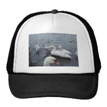 Gull on a Swans back Hat