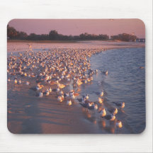 Gulls on Gulf Coast Beach Mousepad