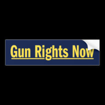 Gun Rights Now bumper stickers