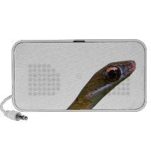 Gunther's Forest Racer Notebook Speakers