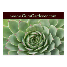 Guru Gardener Business Card