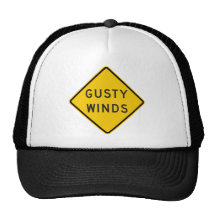 Gusty Winds Highway Sign Mesh Hat