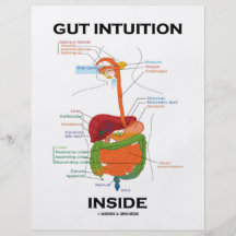 Gut Intuition Inside (Digestive System Humour) Custom Flyer