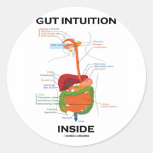 Gut Intuition Inside (Digestive System Humour) Round Stickers