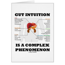 Gut Intuition Is A Complex Phenomenon (Endocrine)