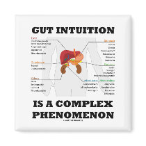 Gut Intuition Is A Complex Phenomenon (Endocrine)