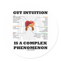 Gut Intuition Is A Complex Phenomenon (Endocrine)