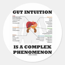 Gut Intuition Is A Complex Phenomenon (Endocrine) Round Stickers