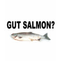 Gut Salmon? Funny Fishing T-Shirts and Stickers!