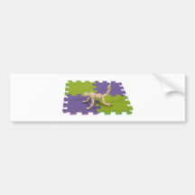 GymMatStretch112809 copy Bumper Sticker