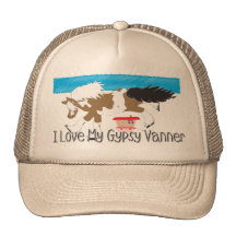 gypsy cob hat