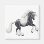 Gypsy Cob Horse Magnet