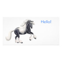 Gypsy Cob Horse Photo Card