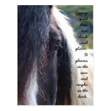 Gypsy Gold Postcard