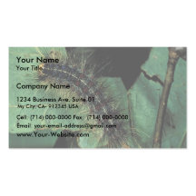 Gypsy Moth Caterpillar Business Cards