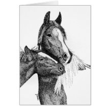 Gypsy Vanner Blank Greeting Card