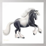 Gypsy Vanner Cob Horse Print