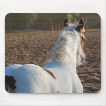 Gypsy Vanner Filly Mouse Pads