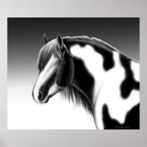 Gypsy Vanner Pinto Draught   Horse Poster