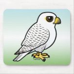 Gyrfalcon