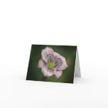 H. Heavenly Blues Note Card