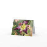 H. Violet Sabrewing Note Card
