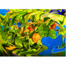 Habanero Peppers on Plant Trippy photo Photo Sculptures