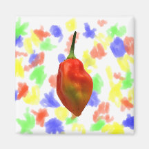 Habanero Single Pepper Photograph Fridge Magnets