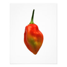 Habanero Single Pepper Photograph Invites