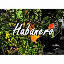 Habanero text against plant photograph cut outs
