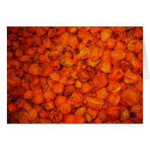 Habaneros, Habaneros and More Habaneros Cards