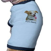 Habillement adorable de chien de chiwawa vêtements pour animaux domestiques