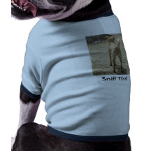 Habillement d'animal familier t-shirt pour chien