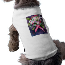 Habillement de soin d'animal familier manteau pour chien