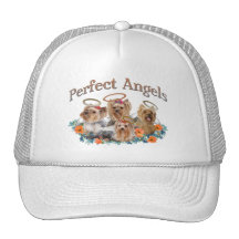 Habillement parfait de 4 anges de Yorkie Casquettes De Camionneur