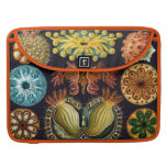Haeckel Aquatic Marine Life Sleeves For MacBook Pro