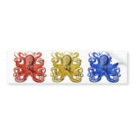 Haeckel Octopus Blue Bumper Stickers