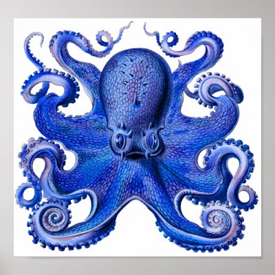 Haeckel Octopus Blue Poster by tartanphoenix