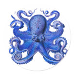Haeckel Octopus Blue Stickers