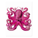 Haeckel Octopus Pink Postcards
