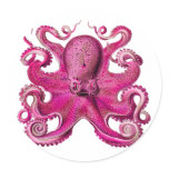 Haeckel Octopus Pink Round Stickers