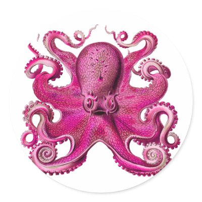 Haeckel Octopus Pink Round Stickers by tartanphoenix