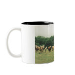 Haflinger Coffee Cup Coffee Mug