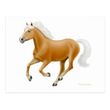Haflinger Palomino Horse Postcard