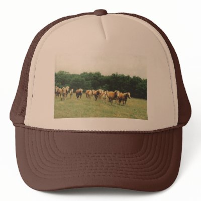 Haflingers Cap Hat by Russ45