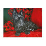 Haggis the Scottish Terrier Postcard