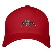Haida Raven Steals the sun Baseball Cap