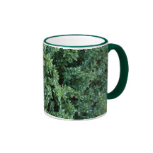 Haie à feuillage persistant - tasse