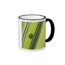 Haie dans le Hamptons Tasses À Café